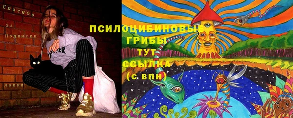 эйфоретик Белокуриха