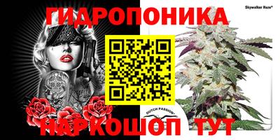 твердый Шебекино