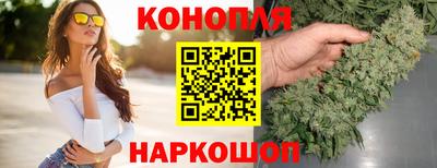 прущие крисы Шелехов