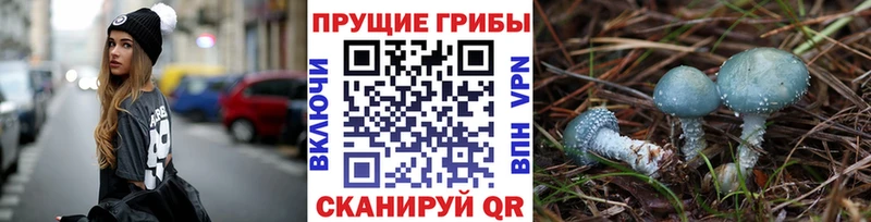 Галлюциногенные грибы Magic Shrooms  где можно купить наркотик  mega tor  Пятигорск 