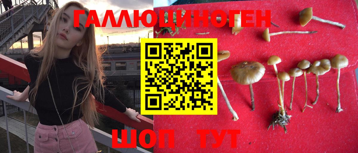 Псилоцибиновые грибы Cubensis Пятигорск
